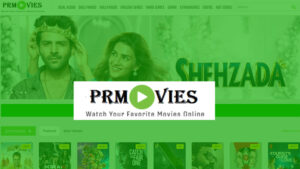 Does PRMovies offer subtitles for movies?
