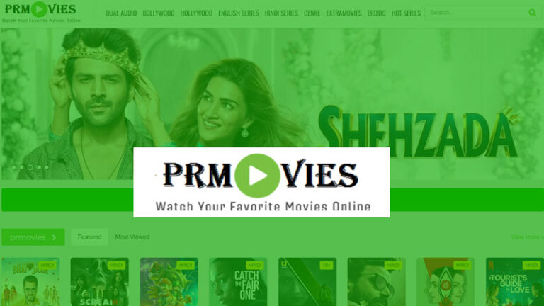 Does PRMovies offer subtitles for movies?